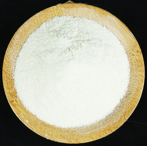 小狗什么时候发一次情