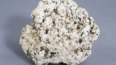 龙涎香是什么东西 龙涎香是什么动物排出的分泌物