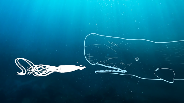 龙涎香是什么东西