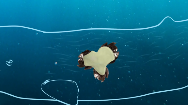 龙涎香是什么东西