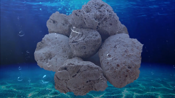 龙涎香是什么东西