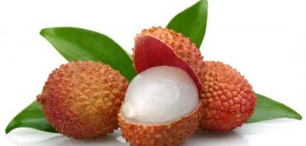 妃子笑是什么水果