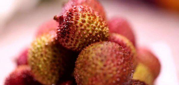 妃子笑是什么水果