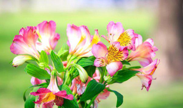 看望病人六个忌日是哪几天