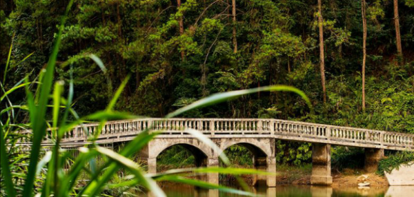 忠县旅游景点有哪些