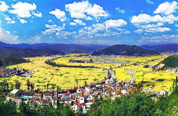 玉溪有几个县几个区