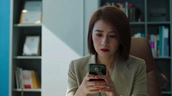 完美伴侣大结局是怎样的