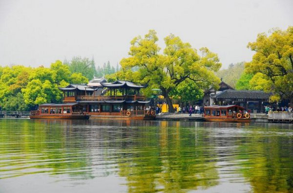 浙江金华面积多少平方公里