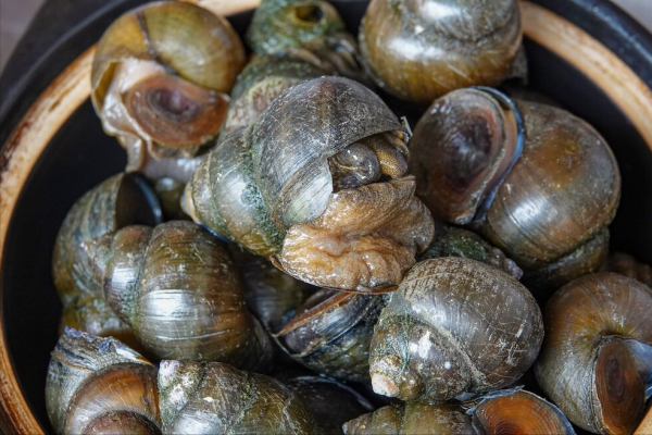 观音生日是几月几日