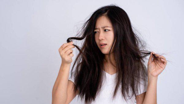 头发太干燥了怎么保养