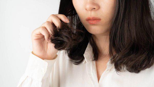 头发太干燥了怎么保养