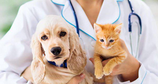 最有前景的十大行业