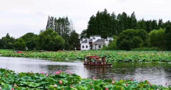 芜湖有哪些好玩的地方
