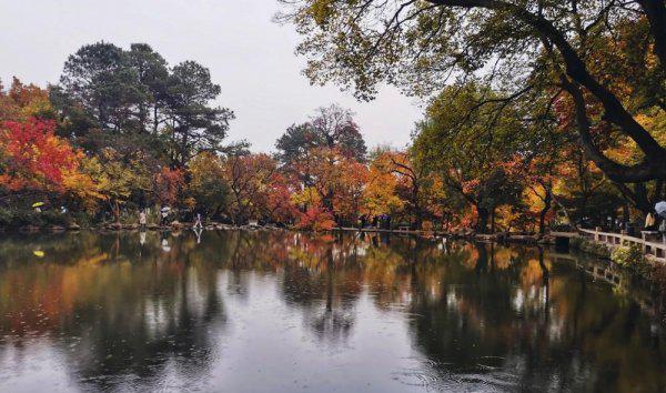 苏州有哪些好玩的地方和景点