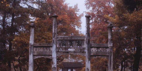 苏州有哪些好玩的地方和景点