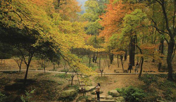 苏州有哪些好玩的地方和景点