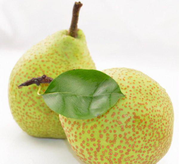 山东最出名特产介绍