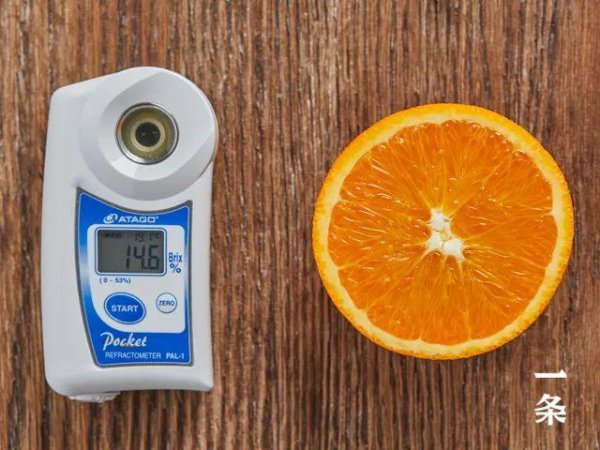 伦晚脐橙为什么叫伦晚