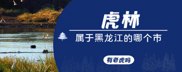 虎林属于黑龙江哪个市