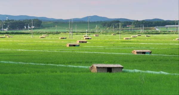 虎林属于黑龙江哪个市