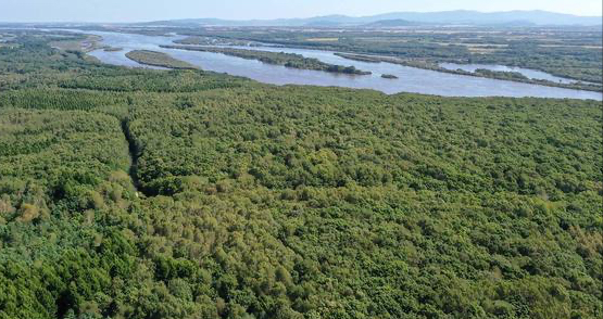 虎林属于黑龙江哪个市