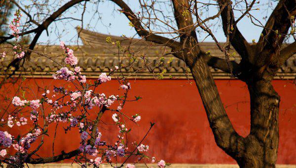 大雁塔是哪个朝代的建筑