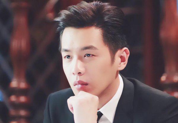 国内男明星都有哪些