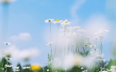 读心术最厉害的星座 哪几个星座洞察人心能力最强