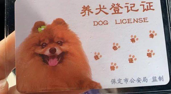 办理狗证需要什么资料