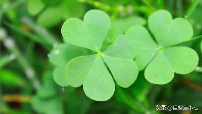 巨蟹座隐藏的恐怖力量 巨蟹座的人有什么可怕之处