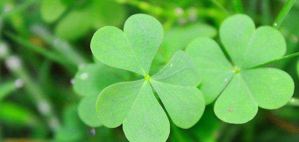 巨蟹座隐藏的恐怖力量