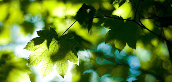 巨蟹座隐藏的恐怖力量