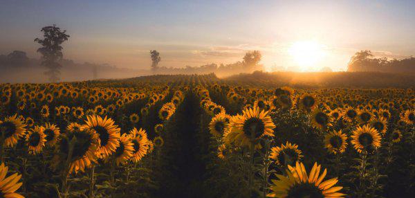 巨蟹座隐藏的恐怖力量