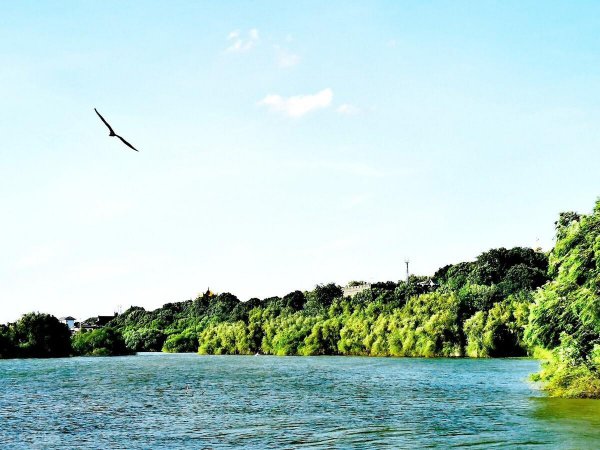 云梦泽指的是什么地方