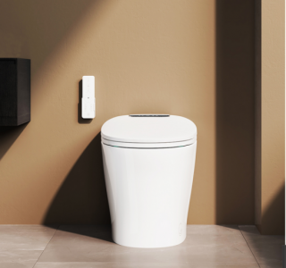 坐便器什么牌子好又实惠 坐便器排行榜前十名推荐