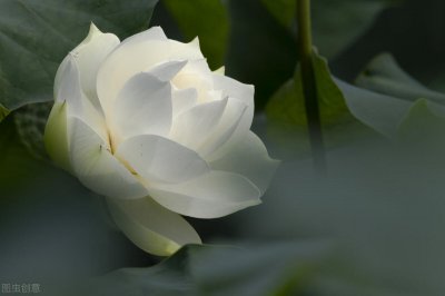 女人福报大的表现是什么 有福气的女人会有这四种特征