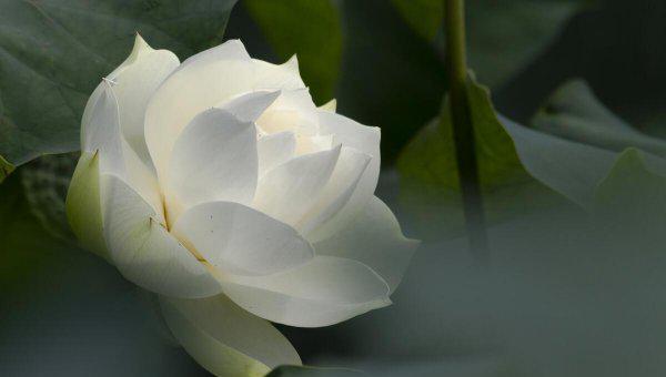 女人福报大的表现是什么