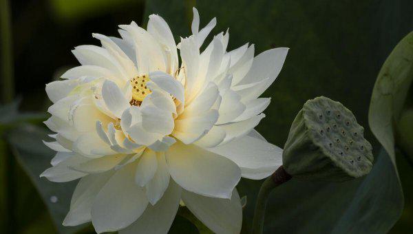 女人福报大的表现是什么