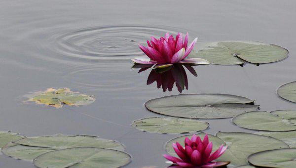 女人福报大的表现是什么