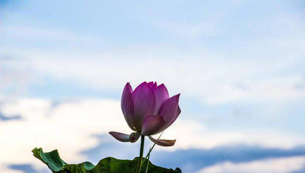 女人福报大的表现是什么