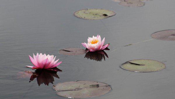 女人福报大的表现是什么