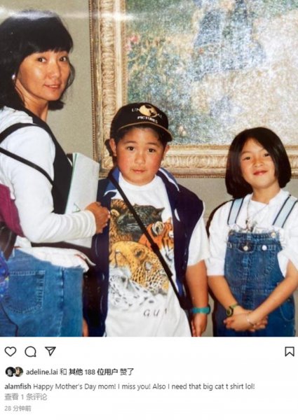 叶倩文和林子祥是否有自己孩子