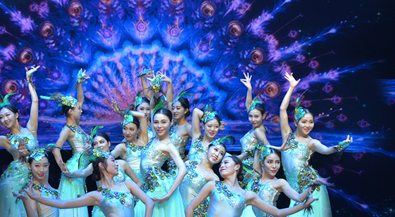 丽江是哪个省的城市