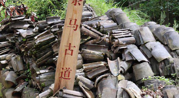 丽江是哪个省的城市