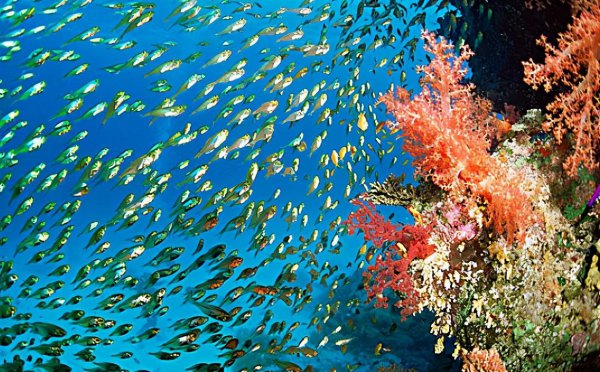 世界上最咸的海是哪个