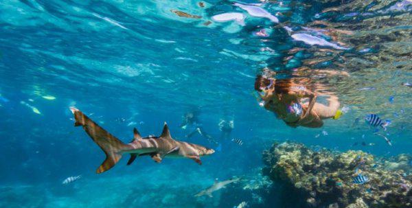 裴济岛在哪个国家