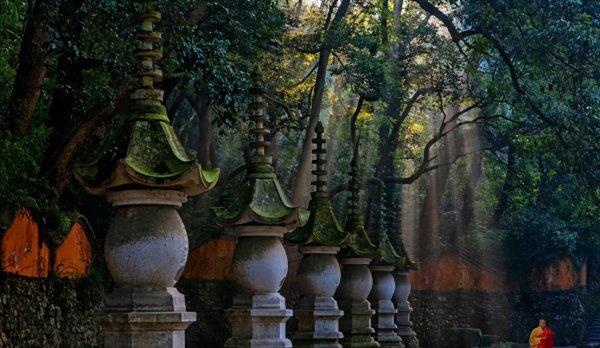 大佛龙井产地是哪里