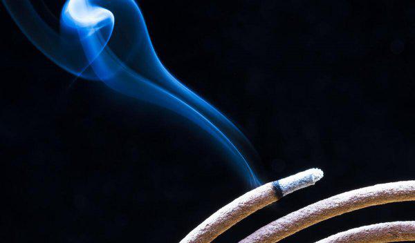 如何赶走耳边的蚊子