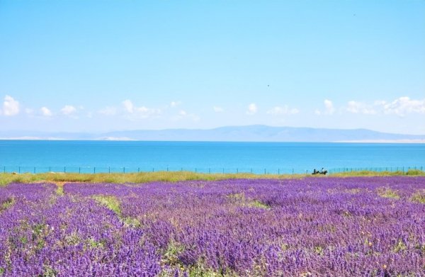 六月旅游国内最佳地排名