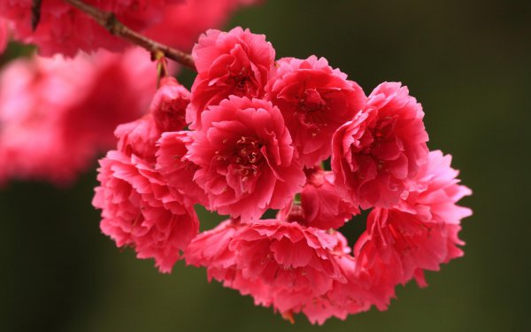 怎么让喜欢的人喜欢上自己